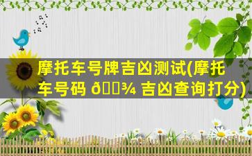摩托车号牌吉凶测试(摩托车号码 🌾 吉凶查询打分)